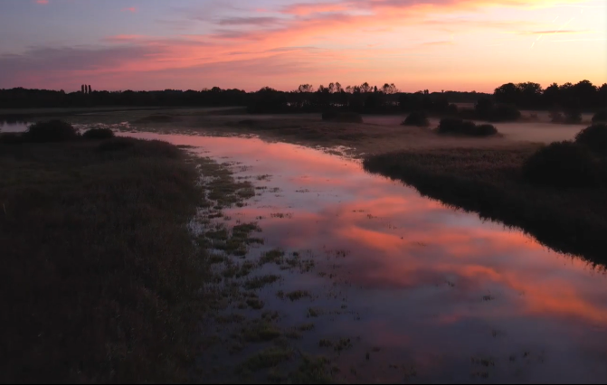 Etang de Praillebard, nouveau site de suivi de la migration (Ain)