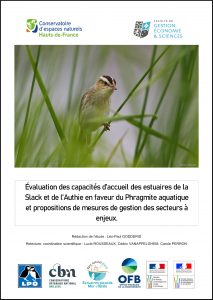 Evaluation des capacités d'accueil des estuaires de laSlack et de l'Authie en faveur du Phragmite aquatique et proposition de mesures de gestion des secteurs à enjeux
