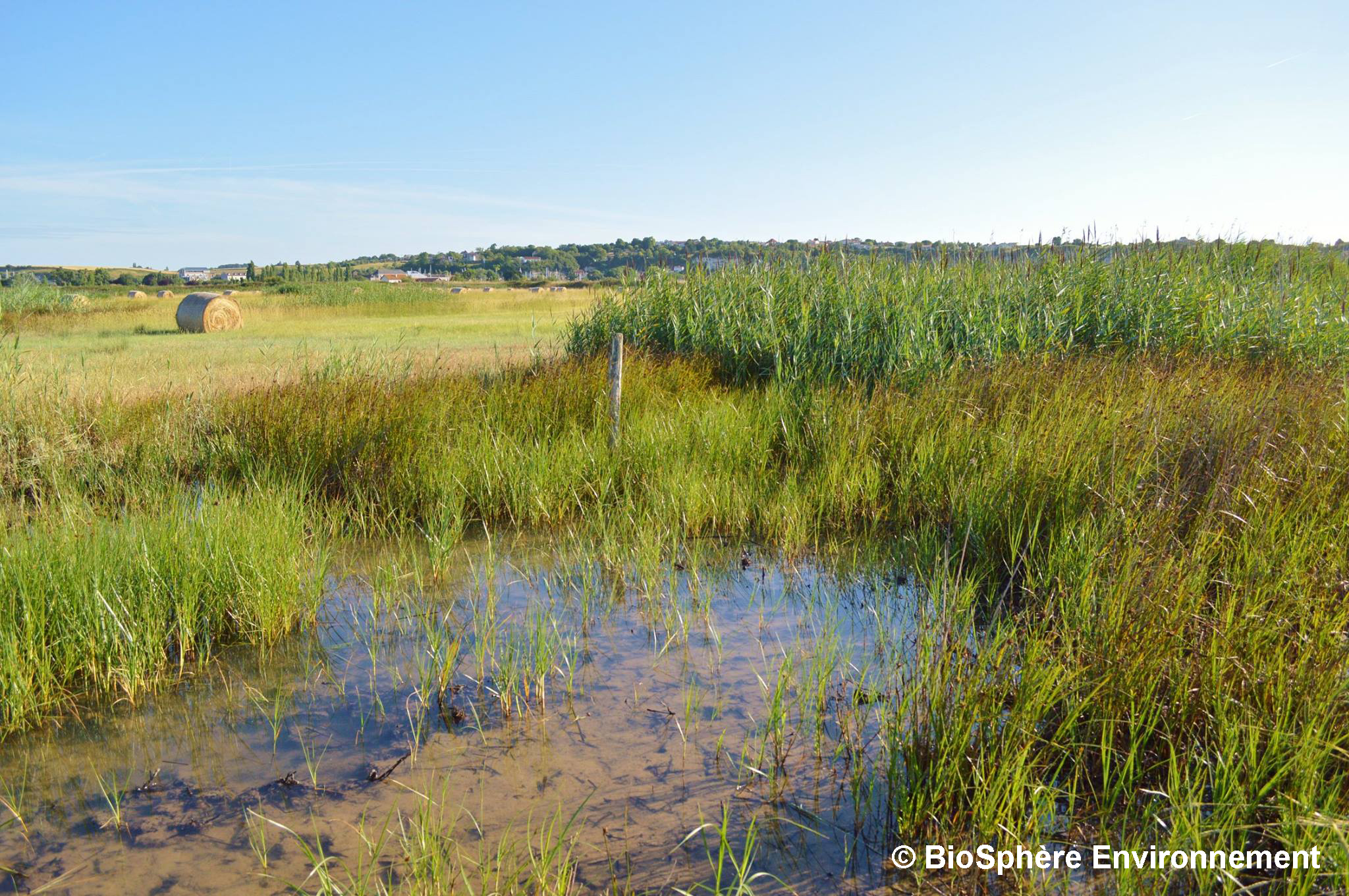 AWOM habitat Gironde 2016