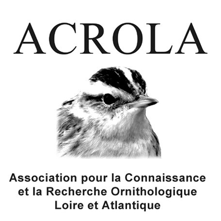 AWOM logo ACROLA