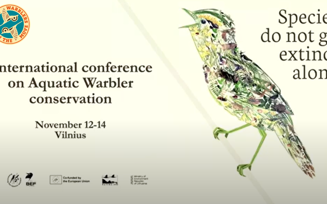 LIFE AWOM et le PNA à Vilnius : unir les efforts pour la conservation du Phragmite aquatique !